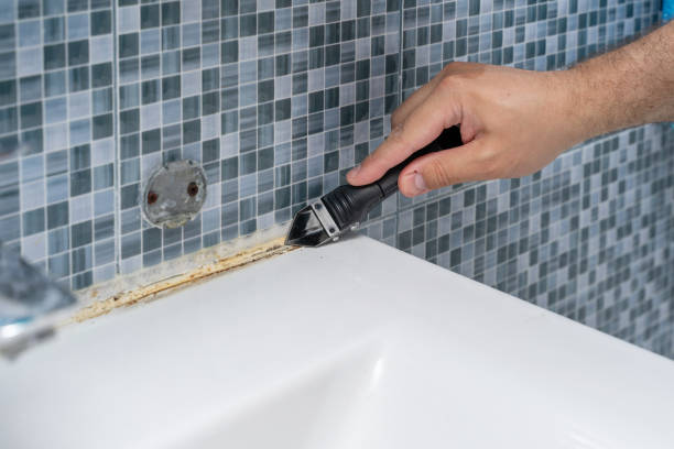 Best Toxic Mold Removal  in Maud, TX